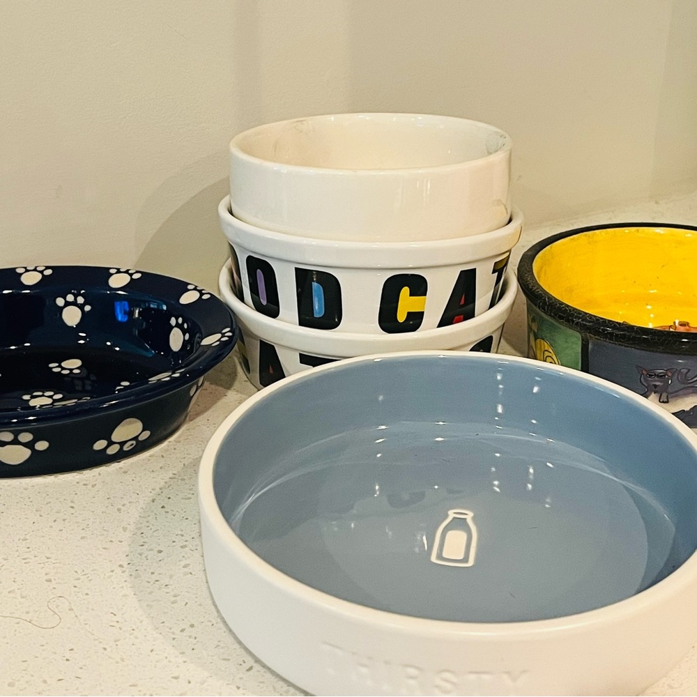 Bundle of Cat Bowls